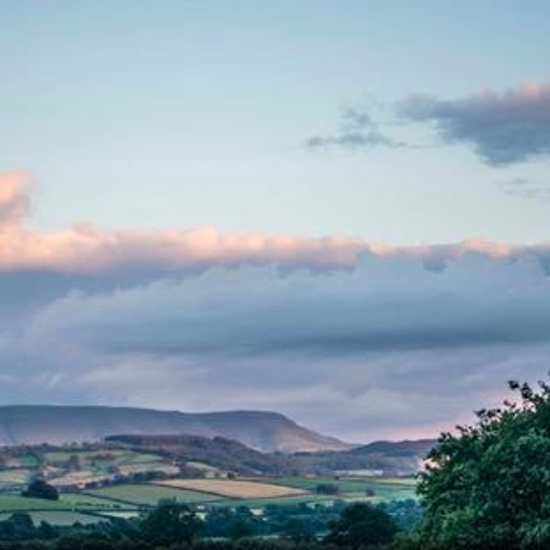 Neel Freerotation 2015