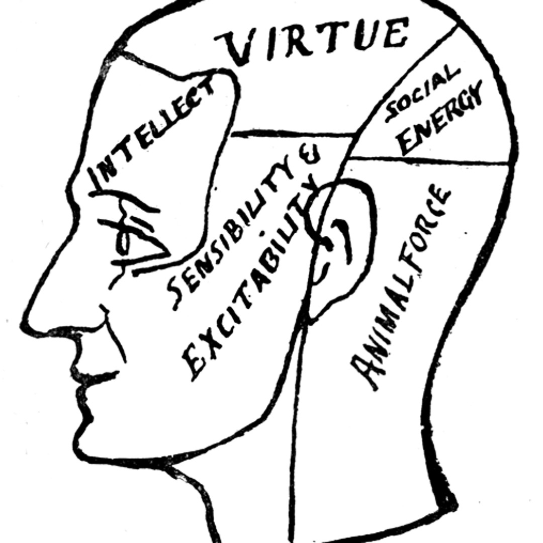 Surgeon - This is the place where the intellect gets annihilated